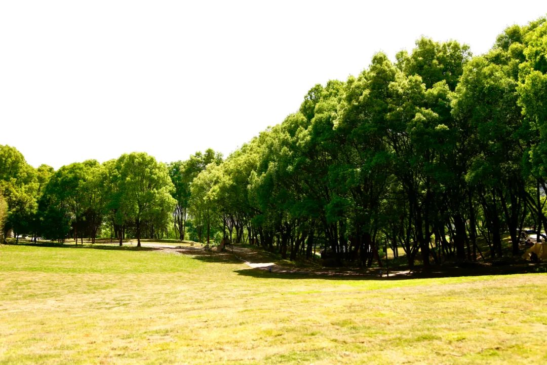 圖片2.png 圖片2.png